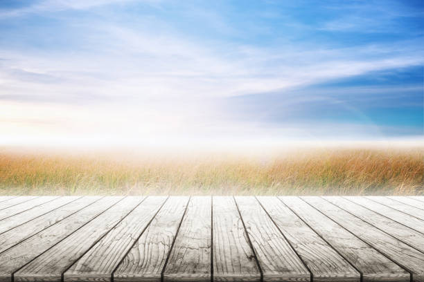 istock Wood table top with grass natural and blue skies background. 697368634
