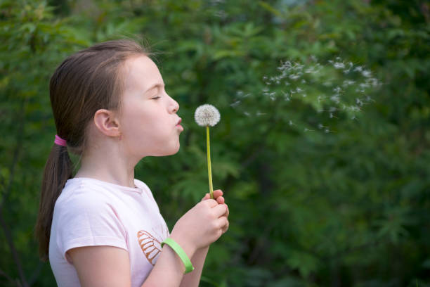 istock Happy little girl blowing dandelion 697372180