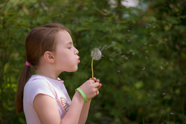 istock Happy little girl blowing dandelion 697375538