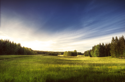 Swedish summer scenics landscape and nature