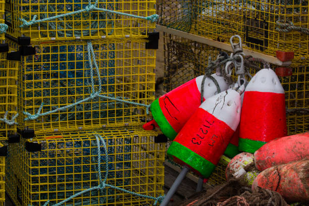 istock Red and White bouy and Lobster Trap 697383754