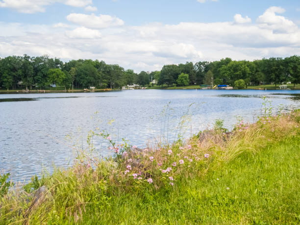istock Spring On a Lake In Pennsylvania 697393462