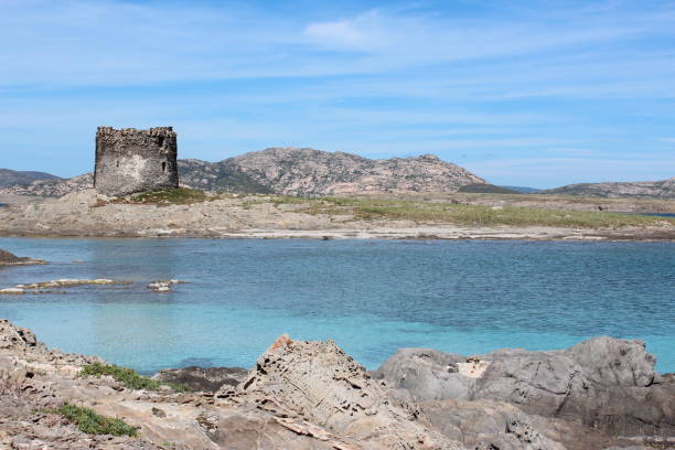istock Stintino La Pelosa beach in Sardinia 697396352