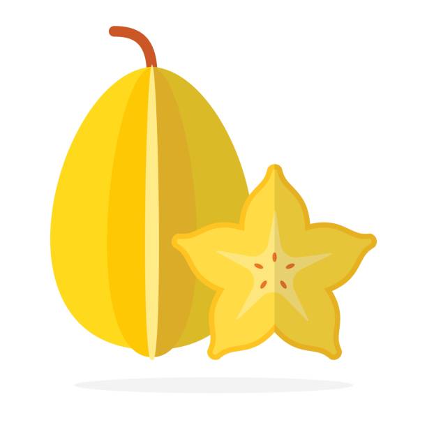 Whole carambola and carambola in section flat isolated Whole carambola and carambola in section vector flat material design isolated on white starfruit stock illustrations