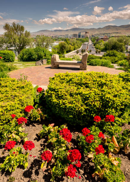 весенние цветы в местном городском парке с горизонтом бойсе - idaho boise summer flower стоковые фото и изображения