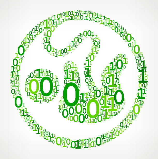 illustrations, cliparts, dessins animés et icônes de foetus binaire code zéro un vector illustration - 0-1-mois
