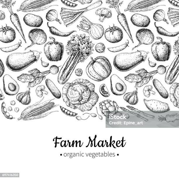 Illustration De Vecteur Vintage Légumes Dessinés À La Main Affiche De Marché Agricole Vecteurs libres de droits et plus d'images vectorielles de Légume