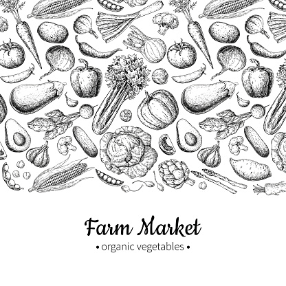 Vegetable hand drawn vintage vector illustration. Farm Market poster. Vegetarian set of organic products. Detailed food drawing. Great for menu, banner, label, flyer
