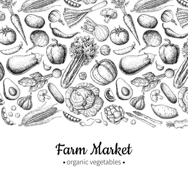 Vegetable hand drawn vintage vector illustration. Farm Market poster. Vegetable hand drawn vintage vector illustration. Farm Market poster. Vegetarian set of organic products. Detailed food drawing. Great for menu, banner, label, flyer artichoke diet stock illustrations