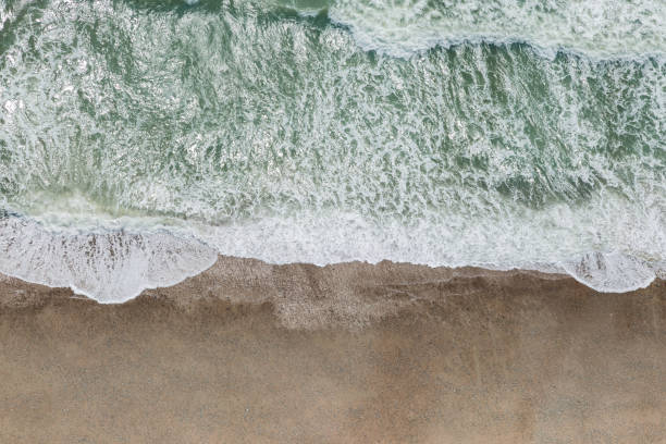 istock Aerial View of a Beach 697416892