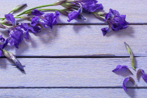 istock spring flowers on wooden background 697426836