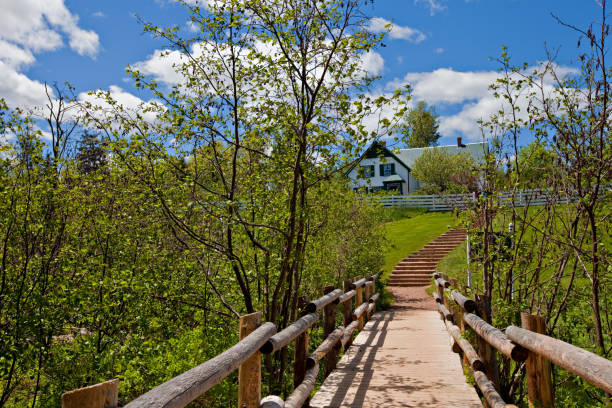 Green Gables Cavendish, Canada - June 9, 2017. A path leads to the Green Gables house. Once the home of L. M. Montgomery's aunt and uncle and where she drew inspiration for her Anne of Green Gables series, the house is now part of a national park. lucy maud montgomery photos stock pictures, royalty-free photos & images