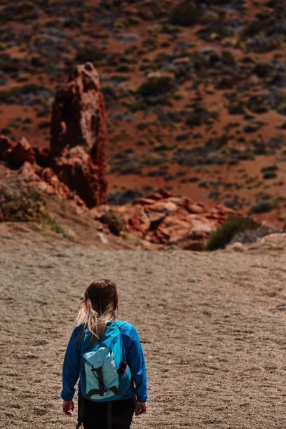 istock enjoy Teide National park view 697433842
