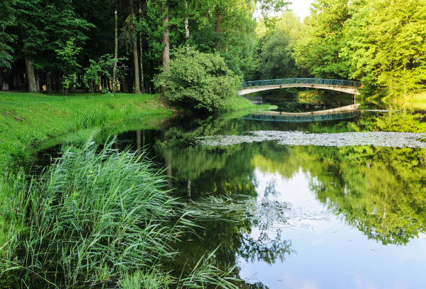 istock Landscape of a city park. 697438868