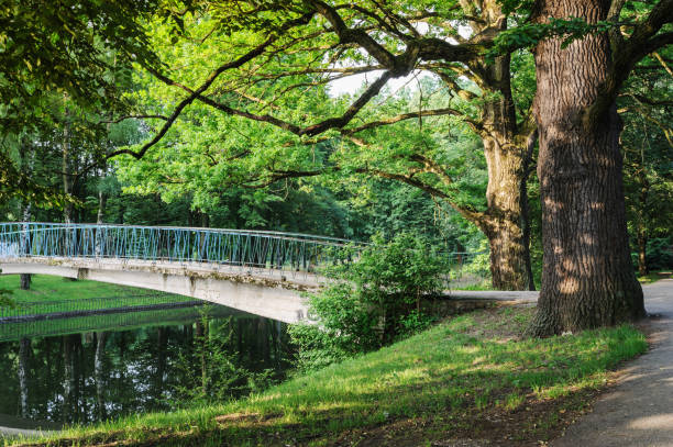 istock Landscape of a city park. 697438888