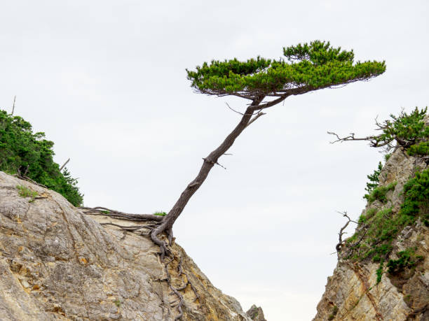 istock Uradome Coast in Japan 697442136