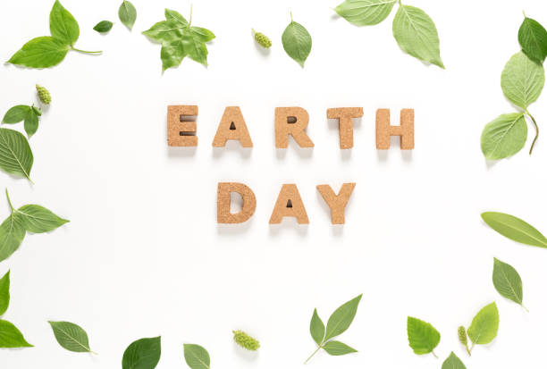 istock Earth Day text with green leaves top view 697442416