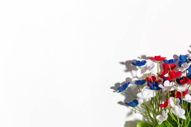 istock USA holiday flower decorations on a white background 697442510
