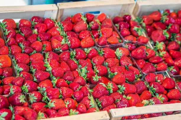 istock City Market in Riga 697455974