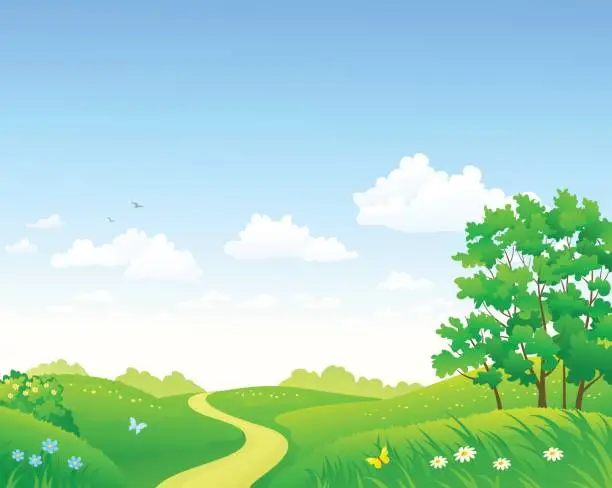 Vector illustration of Summer meadow and sky background