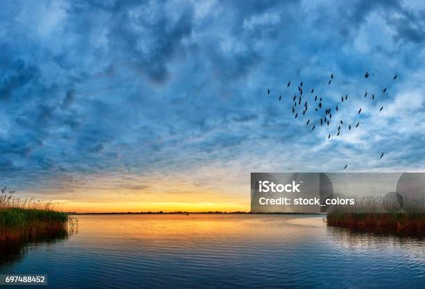 Sunset Over Danube River Stock Photo - Download Image Now - Sunset, Bird, Sky