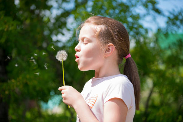 istock Happy little girl blowing dandelion 697489256