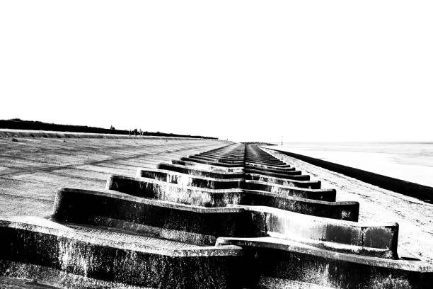 Amrum island, Germany: beach and dunes nearby Norddorf, monochrome picture