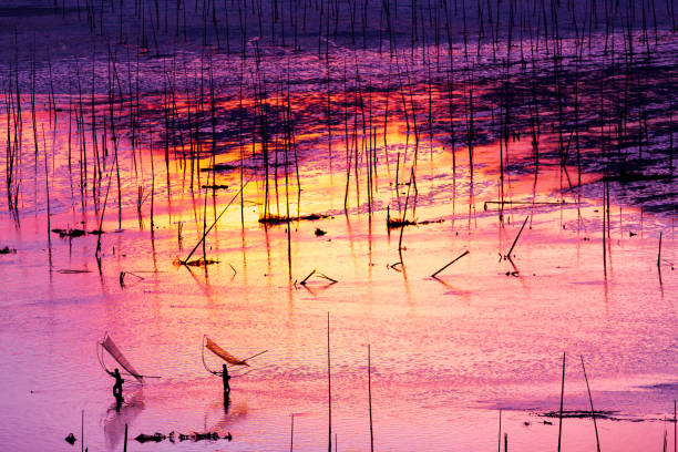 Fishermen working on mud flat in Xiapu, Fujian Province, China.