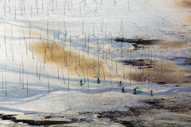 Fishermen carrying fish nets on artistic Mudflats beach in Xiapu, Fujian Province, China.