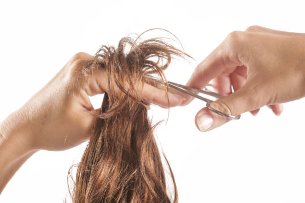 corte de cabello - decisions teenage girls horizontal studio shot fotografías e imágenes de stock