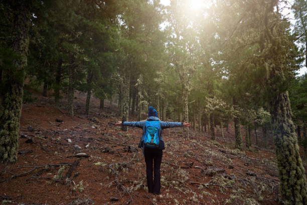 istock hiker woman enjoying the fresh air 697510390