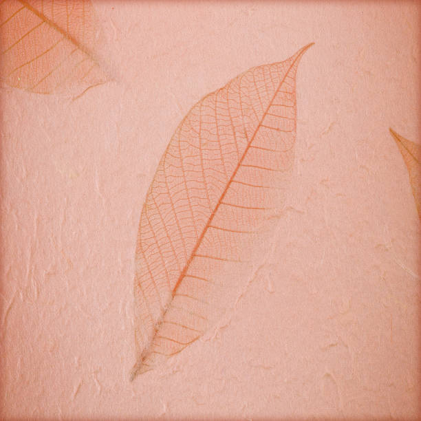 istock handmade mulberry paper background with leaves 697510738