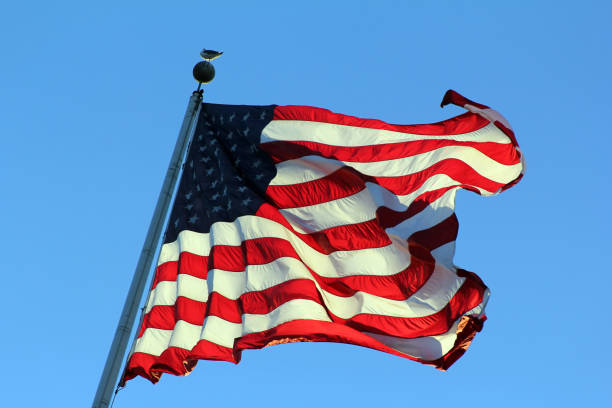istock USA Flag on pole waving in the wind 697527784