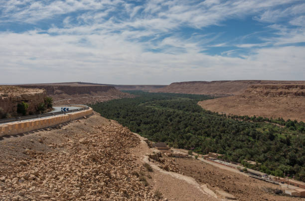 istock Huge palm grove in Ziz river valley, Morocco. Aerial view 697528090