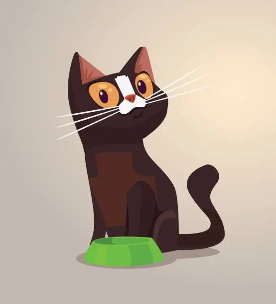 Vector illustration of Happy smiling cat character sits near bowl