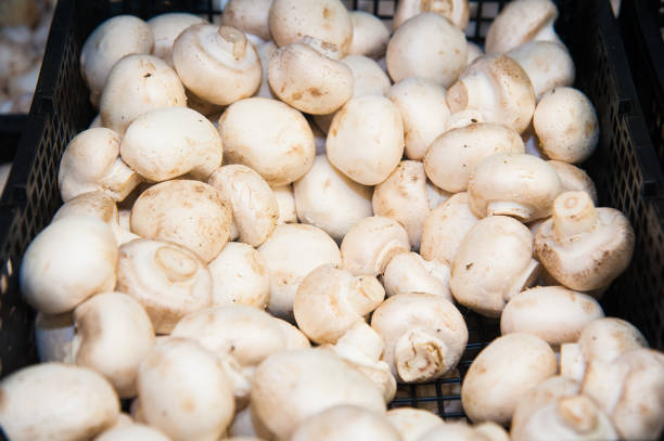 istock Mushrooms in shop 697536220