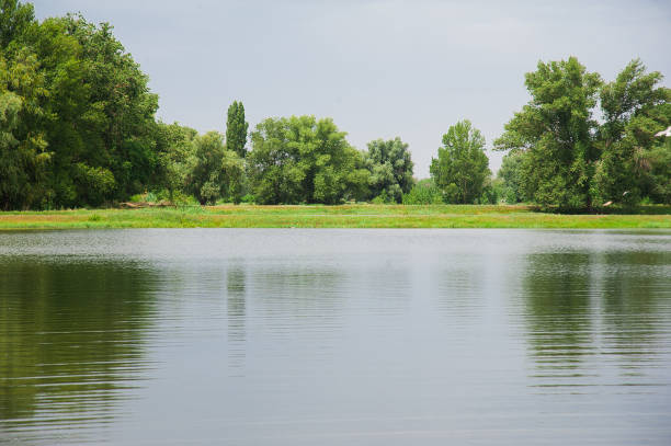 istock Summer landscape on the river bank 697538482