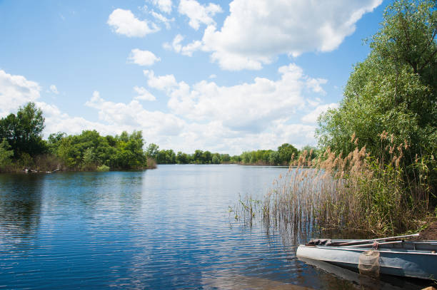 istock Summer landscape on the river bank 697538740