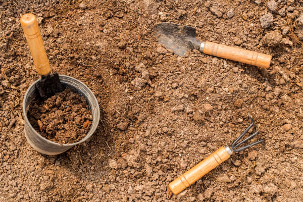 istock Gardening tools and soil for planting. 697544924