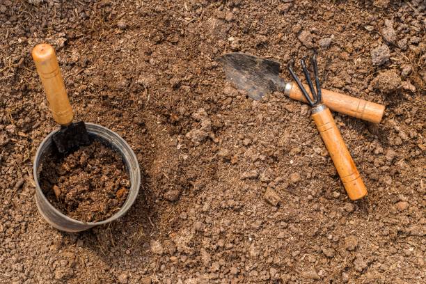 istock Gardening tools and soil for planting. 697545298