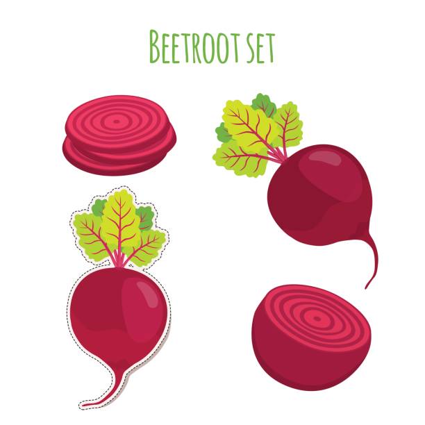 Beetroot set made in cartoon flat style. Label for market Beetroot set made in cartoon flat style. Label for markets, shops, garden vegetables. Organic nutrition. beet stock illustrations
