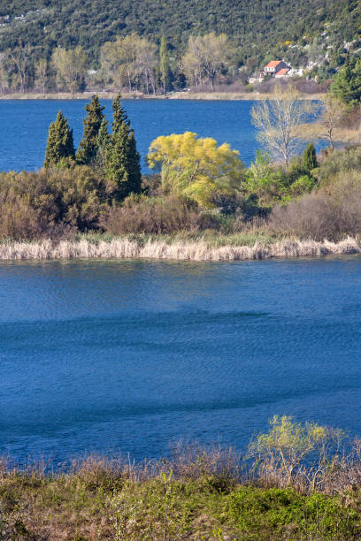 istock Spring awakening on shore of Bacina Lakes 697555830