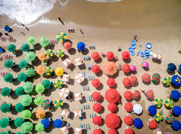 istock Colorful umbrellas in the beach, Brazil 697558410