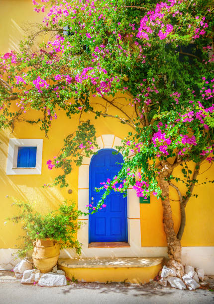 istock Old wooden door 697561938
