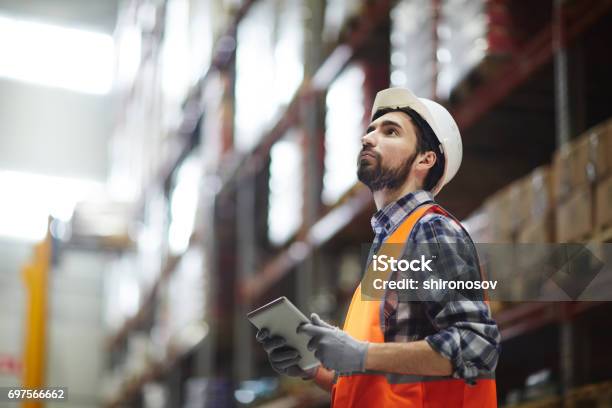 Revision Of Goods Stock Photo - Download Image Now - Freight Transportation, Sending, Occupation