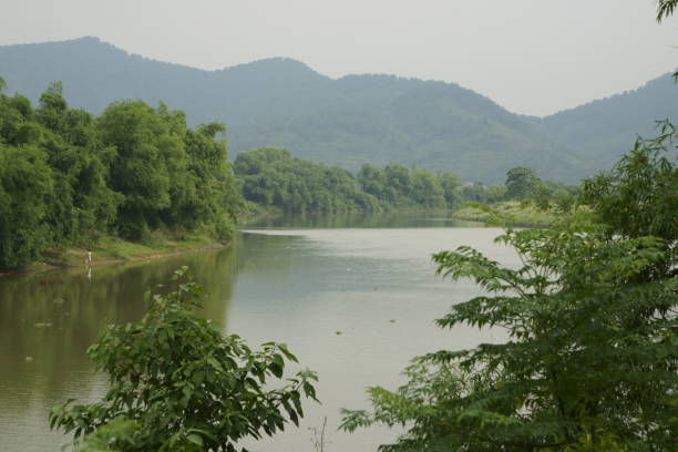 istock Soft colors of river, bamboo and mountains 697569866