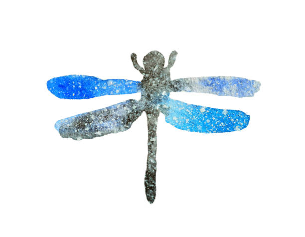 istock Watercolor dragonfly in beautiful colors of space 697574148