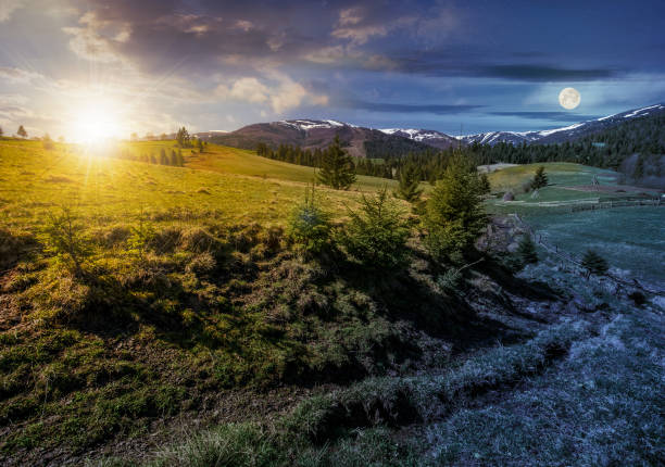 snowy tops of carpathians in springtime