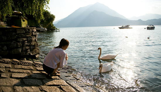 Smiling woman feeding swans at the Como lake in Italy.