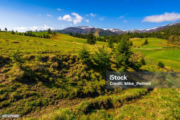 Snowy Tops Of Carpathians In Springtime Stock Photo - Download Image Now - Alpine climate, Awe, Beauty